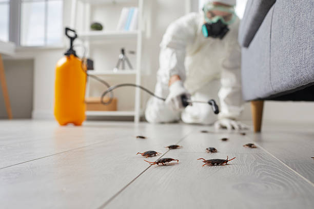 Trusted Fumigation Services service in Gardendale, AL - Nex Pest Control