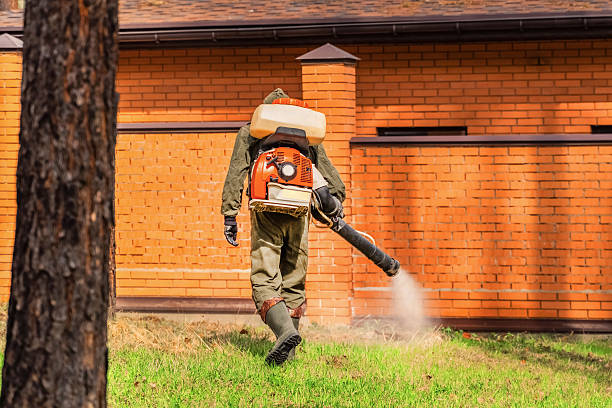 Trusted Termite Control service in Gardendale, AL - Nex Pest Control